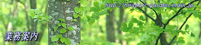 ���É���E����E���́E���j�K�[�f��