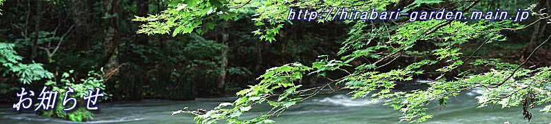 ���É���E����E���́E���j�K�[�f��