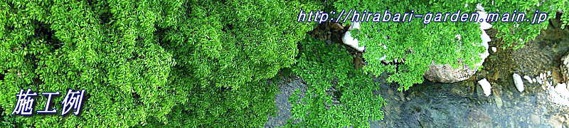 ���É���E����E���́E���j�K�[�f��