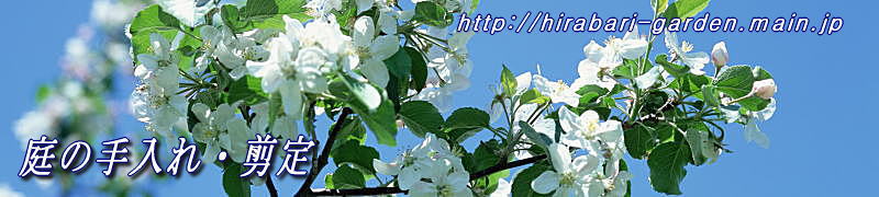 ���É���E����E���́E���j�K�[�f��